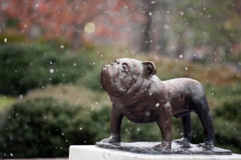 Bully Statue during snow flurries
