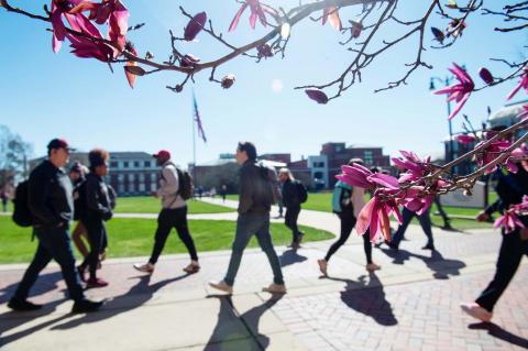 A tree with pink blossoms blooms as students walk in the background of the drill field