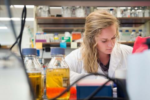 Student in Bio Sci Lab doing research