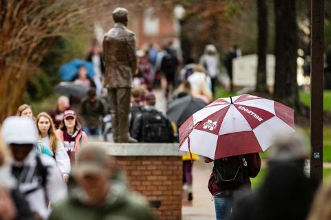 Student with MSU umbrella walking during the rain on campus